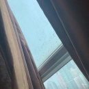 백송의료재단 | [홍콩] 🇭🇰 자가격리 21일 (1주차) | 라마다 홍콩 하버뷰 _ Ramada Hong Kong Harbour View