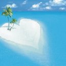 꿈꾸는 바다 이미지