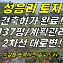 성읍민속로 이미지
