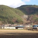 함안면사무소 이미지