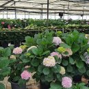 김영석 농장 이미지