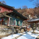 사자사지 이미지