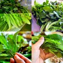 미림가든 이미지