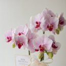 고강1동행정복지센터 이미지