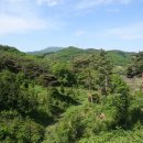 대현마을회관 이미지