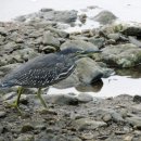 가마솥보리밥 이미지