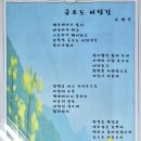 금오도 비렁길 | 금오도 비렁길 1-4코스 당일치기 후기