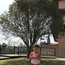 큐브(CUBE) 이미지