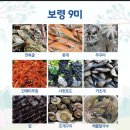 영보 Daum카페