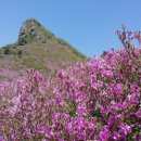 허굴산장 이미지