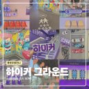 한국관광산업개발㈜ | 하이커그라운드 서울 종로 무료 전시 층별 소개 및 후기