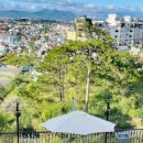 아티초크 호텔 이미지