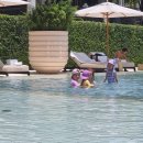 차오패밀리 이미지