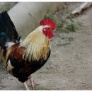 에코에코 협동조합 이미지