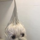 라이프컨