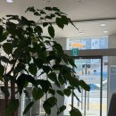 주)찬해영암마트 | [임신일기] 임신 7주차 일기: 초득이 키가 1.1cm 됐다! 이모들의 초득이 환영파티에 다녀왓싸요