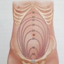 논현로27길 47 이미지