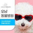 오남동물병원 이미지