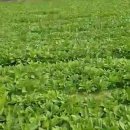 종근농장 이미지