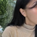 에코리사 | 대전 관저동 애견동반 가능한 베이커리 카페 리사앤플라워