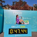 신기록 | 2024 JTBC 서울 마라톤 10km 러닝 PB 개인 신기록 달성 후기