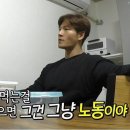 허벌매니아 이미지