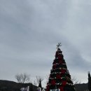 미사리버거 | 가평 가볼만한곳 베고니아새정원 다녀온후기 , 점심은 해븐지버거(서이추환영)