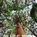 큐식자재마트 이미지