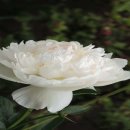 아름다운인연 이미지