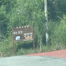 대덕농협 | 대덕 힐링 캠핑장 지붕데크 3 솔직후기