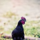 궁항마을회관 이미지