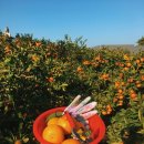 히든클리프호텔&네이쳐 이미지