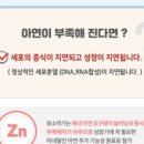 튼튼키즈 이미지