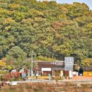 성수월마을 이미지