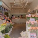 스노우폭스플라워 - 서대문구 연세로 19 | 스노우폭스플라워