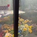 더블라썸플라워샵 이미지