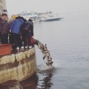 불나라2 이미지