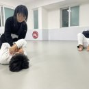 아트 주짓수 레슬링 이미지