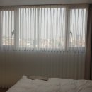 쎄일쎄일타운