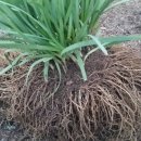 선바위농장 이미지