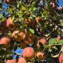 용궁사주차장 이미지