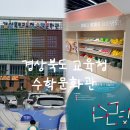 포항시북구93 | 포항 아이와 가볼만한곳 경상북도교육청 수학문화관 무료 실내체험 후기