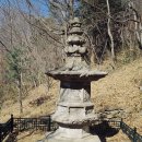 순천-55호 이미지