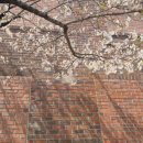 필운대로 이미지