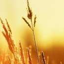 가을향기를 담은 향수 이미지