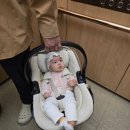 아이리스 | 신생아 카시트 시기부터 7세까지 한번에, 시크 맥스 아이리스 후기