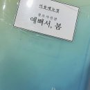 보이는 당구 (100이상)B | 망원동스튜디오 셀프사진관 예뻐서 봄 망원점 B룸 후기