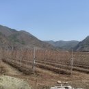 창암농장 이미지