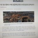 토지매매/양산 부산대학병원 상가주택지 대지3층건축가능아파트배후세력과 부산대학병원개발호재 5억700만원 이미지