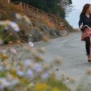 하이킹펜션 이미지